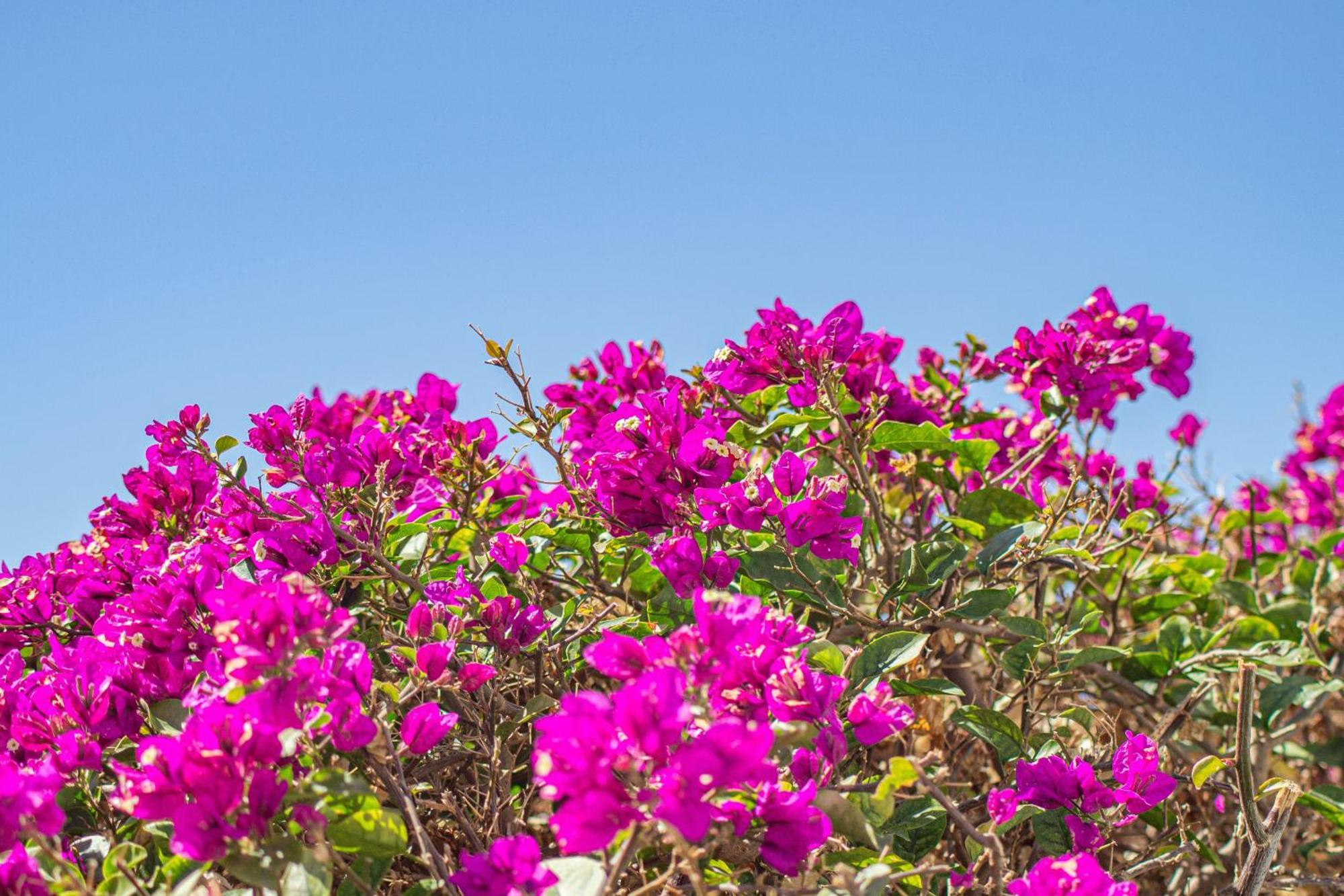 Villa Catrina - Plusholidays Calpe